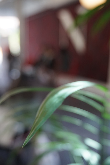 DSC02214